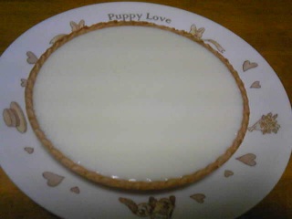 `[YP[L