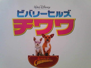 ���Ă��܂����`�I